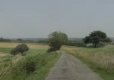 Les prix pour Duffort - Toulouse